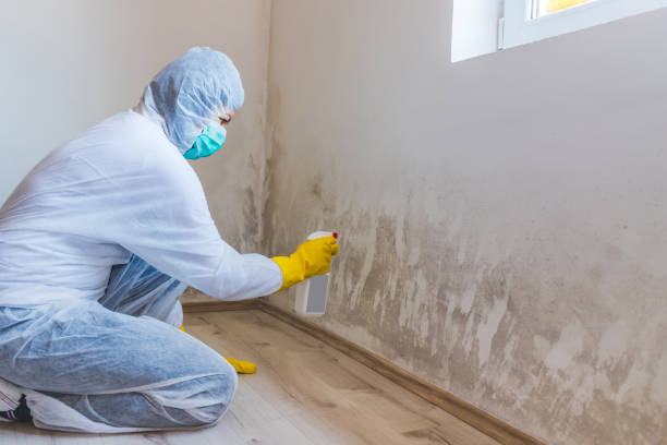 Mold Remediation specialist working in Livermore